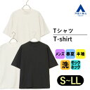 【洋服の青山】Tシャツ メンズ 春夏 ブラック ホワイト ベージュ 無地 ボーダー モックネック 半袖 形態安定 シワになりにくい ストレッチ 動きやすい 洗える イージーケア カジュアル ビジネス クールビズ トップス ティーシャツ カットソー 半そで 黒 白 男性 大人 MORLES