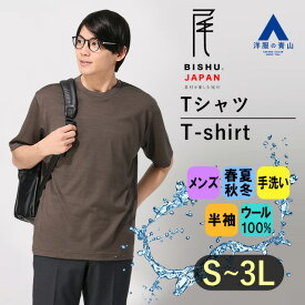 【洋服の青山】尾州産地 ウール100% Tシャツ メンズ S-3L オールシーズン ブラウン 茶色 無地 半袖 クルーネック 天竺編み ハンドウォッシュ 手洗い ドレープ 光沢感 大きいサイズ かっこいい おしゃれ アクティビズ ACTIBIZ