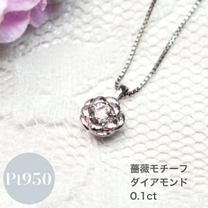 yN[|zzz ꗱ _C o y_g lbNX fB[X Vv 0.1 Jbg ꗱ_CA v`i xl`A`F[ t[`F[ 45cm XCh AWX^ P[