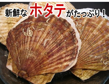 ホタテのうまみ、コクを凝縮