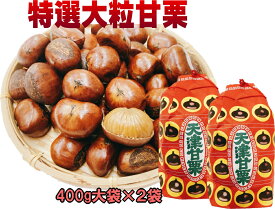 新栗出荷中 創業50年の老舗から焼きたてを出荷 特選大粒甘栗 大きんちゃく袋800g(400g×2袋) 午前焼いて午後出荷 賞味期限30日 無添加 最高級 天津甘栗 皮付 横浜中華街のお店で焼いてお届け 送料無料 激安 お土産 昔ながらの甘栗 赤い 巾着袋 手土産