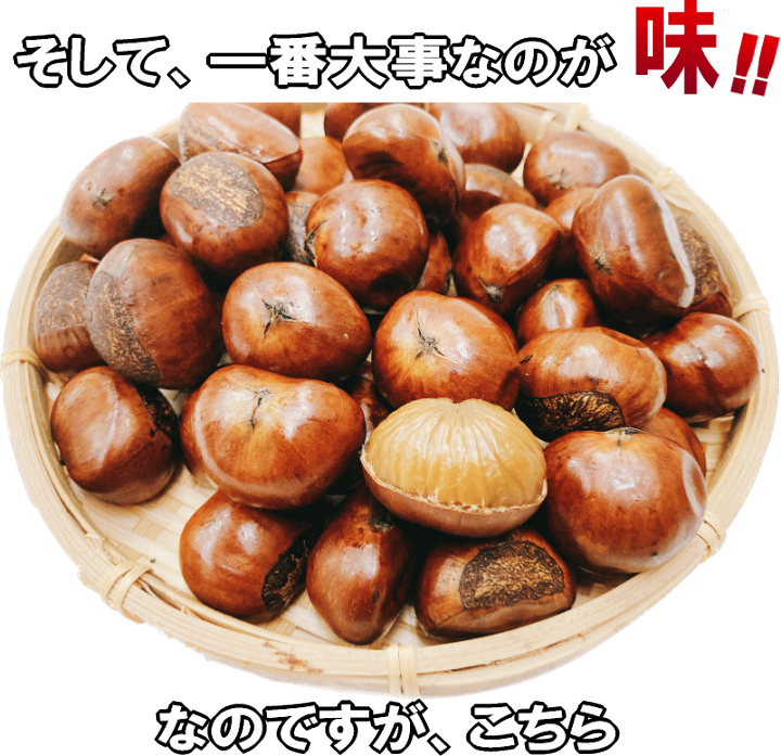 楽天市場】特選大粒甘栗 大きんちゃく袋800g(400g×2袋) 午前焼い