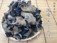 新物入荷 【送料無料】お試し 国産 木耳 きくらげ 静岡県産 キクラゲ 40g 無農薬 放射能検査済 何個でも…
