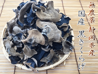 完売御礼 ただいま【5月7日・8日出荷分】 国産 黒木耳 きくらげ 静岡県産 キクラゲ 100g 無農薬 放射能検…