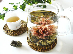 ō炭J[l[V̉Ԓ NT] WX~  ̓ v[g Mtg  H|  lR|X330~10ȏő lR|XΉ̑iƓy