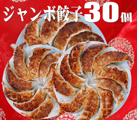 ジャンボ餃子30個 餃子 ギョーザ 国産豚 国産野菜 手づくり 北海道から九州まで送料無料