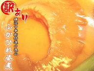 【緊急入荷】訳あり フカヒレ姿煮 尾びれ 送料無料 お中元 ギフト 最高級 吉切鮫 約100gに増量中 絶品 上…