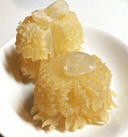 キャノンボール1kg くらげ 海月 中華 くらげ 食品 高級 珍味 食感 咀嚼音 クラゲ 前菜 オードブル くらげの頭 塩漬け 刺身 激安