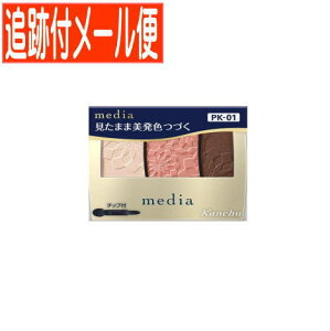 y[֑zJl{E fBA OfJ[ACVhEN PK-01 3.1g