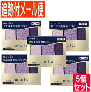 y5ZbgzJl{E fBA OfJ[ACVhEN PU-01 3.1gy[֑/5Zbgz