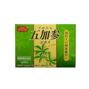 K-2 ܉QGLX 1gx60܁@Y