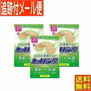 y3ZbgzJbgoDSTCY 30 Si y[֑/3Zbgz