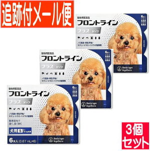 y3ZbgzypiztgCvXhbO p S 5`10kg 6{ y[֑/3Zbgz