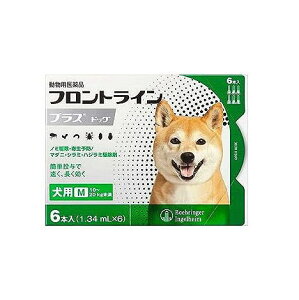 ypiztgCvXhbO p M 10`20kg 6{