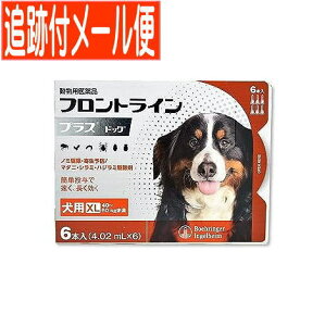 y[֑zypiztgCvXhbO p XL 40`60kg 6{