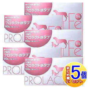 y5ZbgzvNgS^u Lp 60 y^zցz