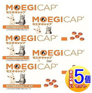 y5ZbgzGMLbv Lp 100 y^zցz