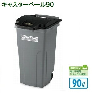 eg WρE^J[g LX^[y[90[DS-224-190-8]yE㕥szyHւ̔zsz
