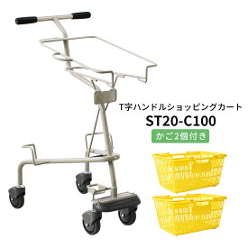 ボールカート ST20-C100 買い物かご2個付き 枠タイプ【代引・後払い不可】