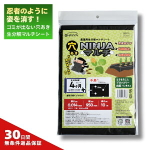 I[~ NINJA}` AMS95BK10-3060  95cm×10m 𐫃}`V[g