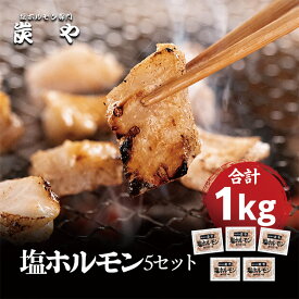 【いまだけ中身増量！1パック150g→200gに！】ケンミンショーで紹介 炭や 塩ホルモン5個セット 750g ホルモン 豚 小分け 焼肉 家飲み グルメ 食べ物 バーベキュー おつまみ 冷凍食品 旭川 名店 北海道 物産展 百貨店 催事 人気 お取り寄せ 自社製造/工場直送