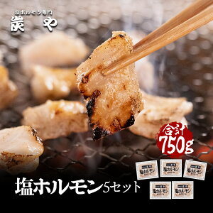 [P~V[ŏЉ܂]Y z5Zbg[750g]А/H꒼Y z   ē kC ƈ O Hו o[xL[ ܂ ⓀHi