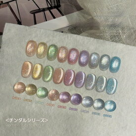 新品販売 DINGDAERマグネットジェル 超微粒 5ミクロン マグネットネイル ホワイト 磁石 セット 水色マグネットジェル カラージェル ジェルネイル クリアカラー ネイルジェル アートジェル ジェルネイル用品 爪 カラージェルネイル ネイル工房 セルフネイル キラキラ 初心者