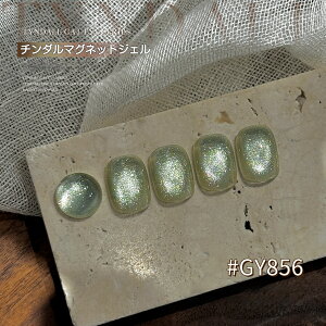 Vi̔ DINGDAER}OlbgWF  5~N }OlbglC zCg  Zbg F}OlbgWF J[WF WFlC NAJ[ lCWF A[gWF W