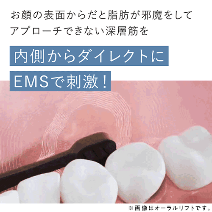 楽天市場】電動歯ブラシ EMS【ヤーマン公式】《オーラルリフト SE YOC