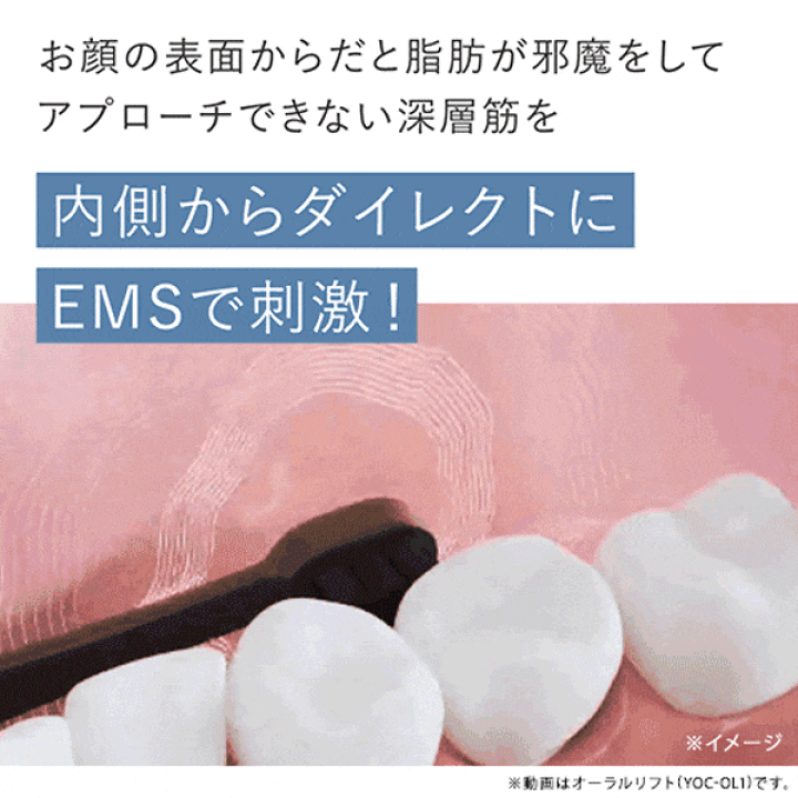 楽天市場】電動歯ブラシ EMS【ヤーマン公式】《オーラルリフト SE YOC