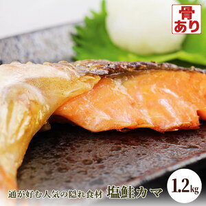 J} 1.2kg 󂠂 ܂Ȃ ƒp (ꕔn) TP VP ̃A  ؂藎Ƃ e` ϕt Ă  g Ђ ɂ ^pN r^~BQ r^~D 