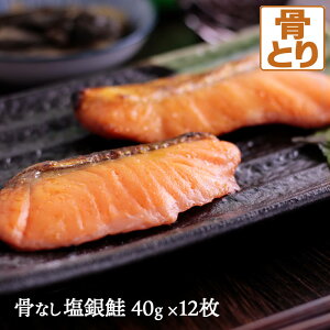 Ȃ  40g×12 VP L   (ꕔn) ^pN r^~BQ r^~D AX^LT` EPA DHA K{b_ sOab_ IK3b_