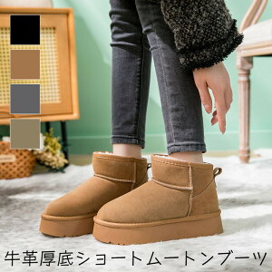 yő2000OFF+P2{zV[g[gu[c v XG[h  [gu[c V[gu[c Nуu[c fB[X V[Y V[g [g u[c hgD N {A r 