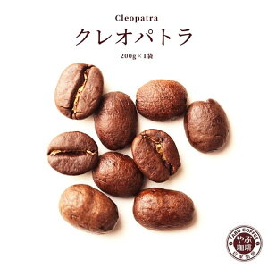 NIpg RrA R[q[ 200g × 1 | RNn R[q[      v~A   ҂ {i  X  ߂ 蓤 