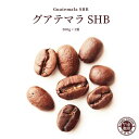 グアテマラ SHB コーヒー 200g x 1袋 | グァテマラ ガテマラ コーヒー豆 珈琲 自家焙煎 こだわり 生豆 粉 マイルド プレミアム 香り 焙煎 挽き立て 本格 種類 専門店 珈琲豆