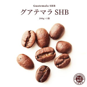 OAe} SHB R[q[ 200g x 1 | O@e} Ke} R[q[      }Ch v~A   ҂ {i  X 蓤