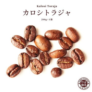 JVgW ChlVA R[q[ 200g × 1 | R[q[      v~A   ҂  {i  X  ߂ ꖡ RN 蓤 