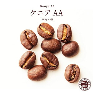 PjAAA ꖡ R[q[ 200g × 1 |  R[q[      v~A   ҂ {i  X  ߂ 蓤 