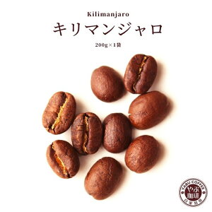 L}W ^UjA R[q[ 200g × 1 | R[q[      }Ch v~A   ҂  {i  X  ߂ _ 蓤 