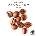 ブラジルショコラ 注文後に焙煎　ブラジル コーヒー　200g × 1袋 | コーヒー豆 珈琲 自家焙煎 こだわり 生豆 粉 マイルド プレミアム 香り 焙煎 挽き立て 本格 種類 専門店 お試し おためし 珈琲豆