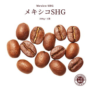 LVRSHG LVR R[q[ 200g × 1 | R[q[       }Ch v~A   ҂ {i  X  ߂ 蓤