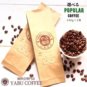 R[q[ lCI  Zbg 100g × 2  IWi uh R[q[ |      }Ch v~A  b`  ҂ {i  