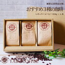 夏ギフト お中元 おしゃれ コーヒーギフト コーヒー豆 200g × 3袋 おすすめ厳選3種 送料無料 | 自家焙煎 高品質 煎りたて 新鮮 詰め合わせ お礼 お返し 内祝 こだわり コーヒー好き 香典返し 包装 結婚祝 贈り物 挨拶 やぶ珈琲 サマーギフト