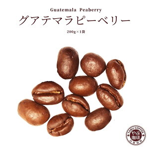 OAe}s[x[ R[q[ 200g x 1 | OAe} Ke} R[q[      RN v~A   ҂ {i  X 蓤 