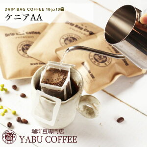 hbvR[q[ PjAAA 10g × 10t RN ꖡ |  Zbg ߂  ҂  X {i v~A hbvobO hbvpbN 䂤pPbg 