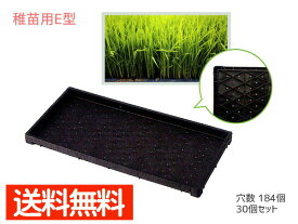 【SS期間中★エントリーP5倍！】稚苗用 育苗箱 水稲用 184穴 60×30×3.7cm 30個セット 稚苗用E型 エコタイプ 黒 ブラック アイカ aika 代引不可 配送不可地域有 法人のみ配送 送料無料