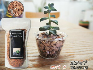 瓦チップ びんご テコラ Mサイズ 赤 600g 観葉植物 プランター カバー材 かわいい リサイクル