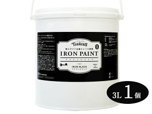 yXܓIPő20{11/1(y)zACAyCg ACAubN  3L 1 h邾ŋ̂悤Ȏ Ƌ G CN DIY ^[i[F IR003009 