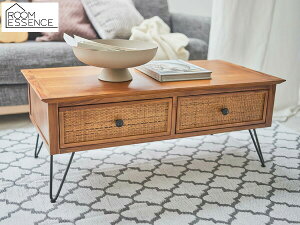 J Z^[e[u uE W100×D50×H40 GUY-371 [e[u [t [ o ^ [J[ 