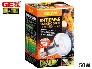 GEX �T���O���[ �^�C�g�r�[�� �o�X�L���O�X�|�b�g�����v 50W PT2135 ঒��� �����ޗp�i ঒��ޗp�i �W�F�b�N�X EXO TERRA